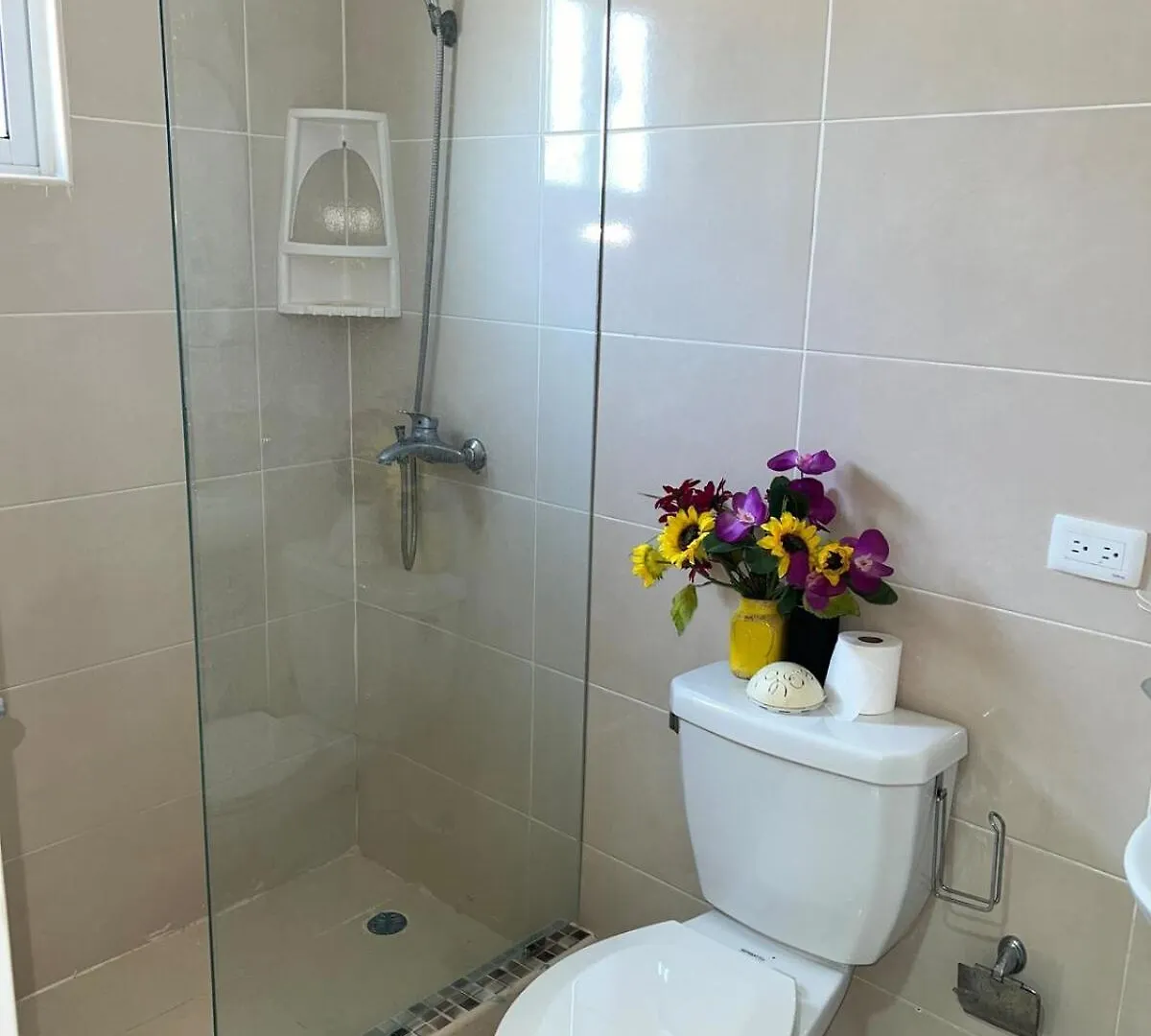 Lejlighed Tranquilo Apartamento De 3 Habitaciones Santo Domingo Den Dominikanske Republik